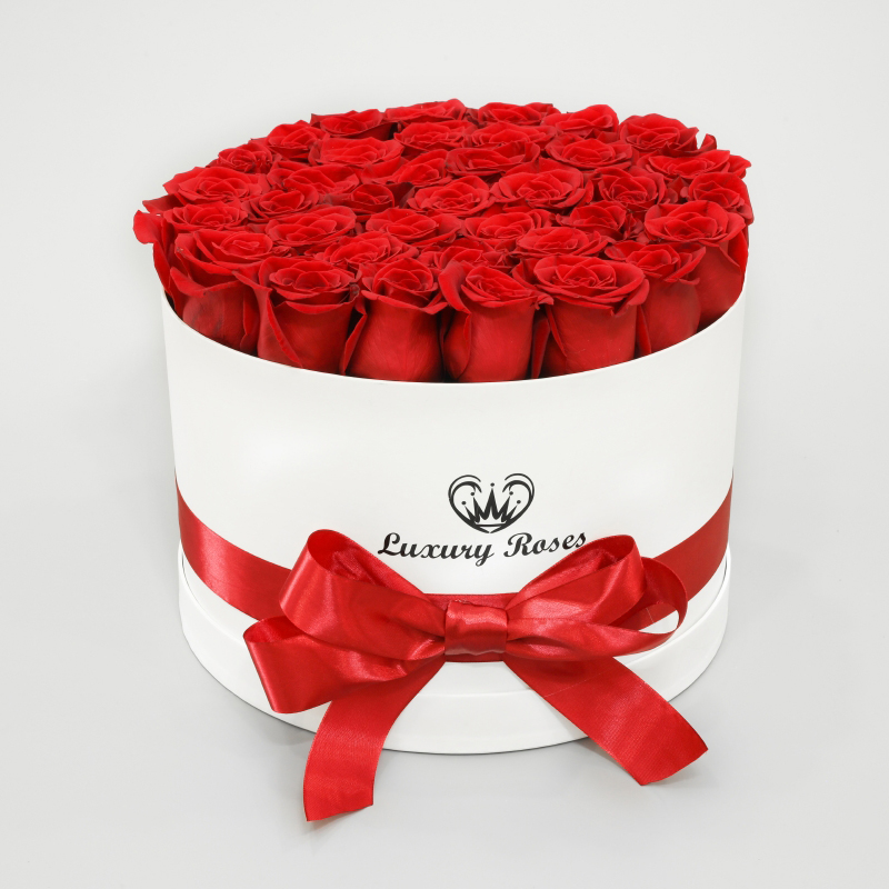 Luxusný okrúhly biely box L so živými červenými ružami