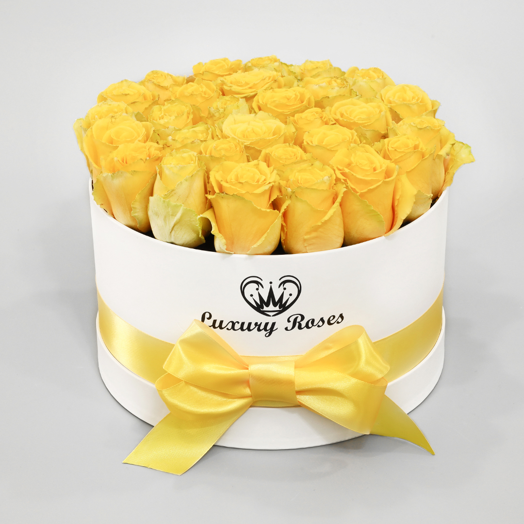 Luxusný okrúhly biely box M so živými žltými ružami