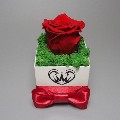 Simple Rose Simple Rose