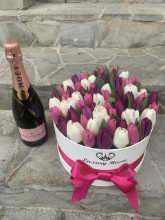 Luxusný box tulipánov Sofia