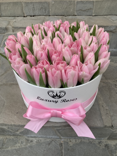 Luxusný jednofarebný box tulipánov (možnosť výberu farby, boxu a tulipánov)