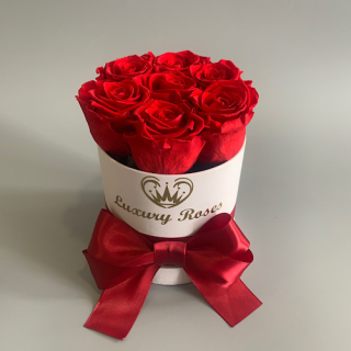 Luxusný okrúhly biely XXS box s trvácnymi červenými ružami